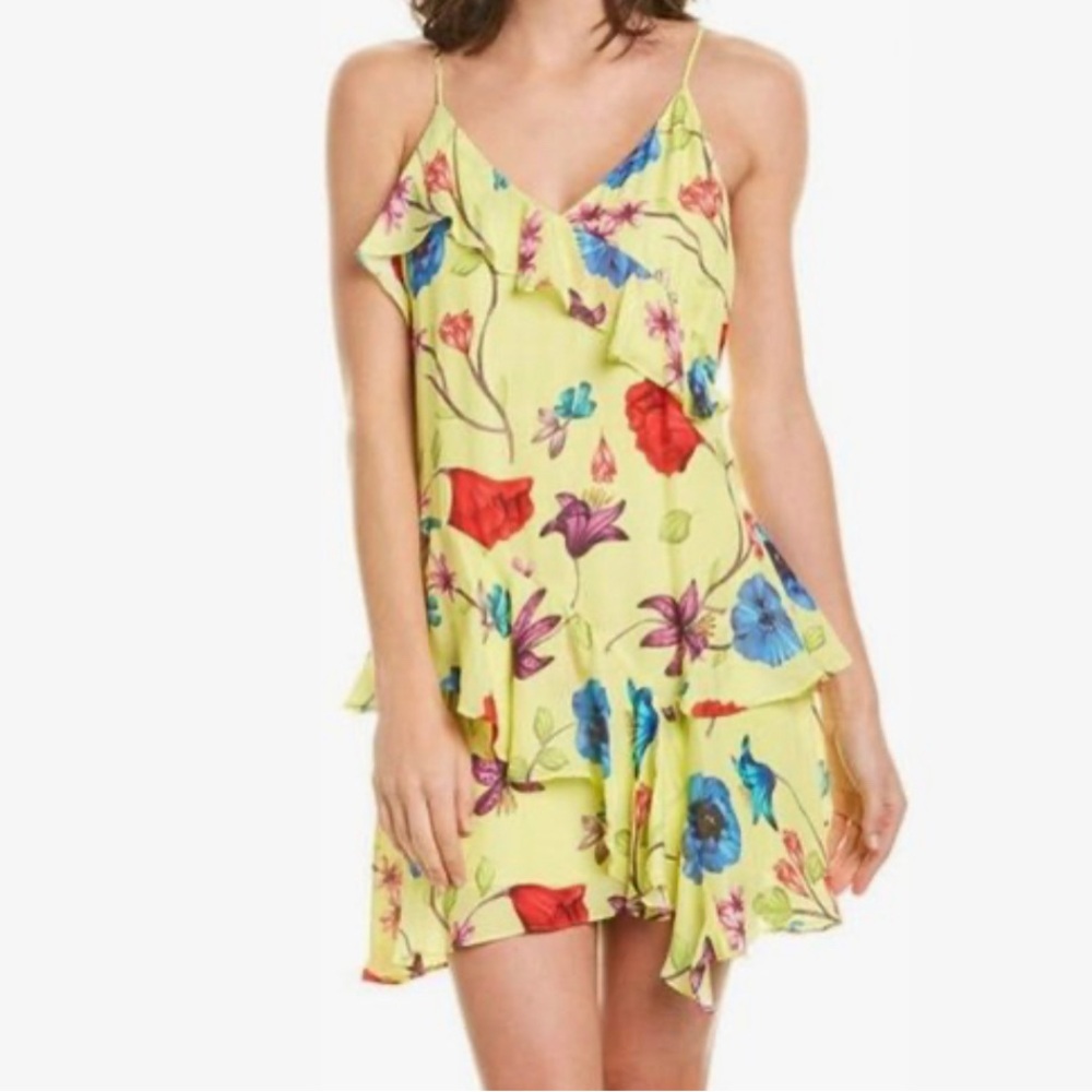 Like New! Parker Holly Ruffle Mini Dress